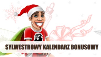 Atrakcyjne promocje przez cały grudzień tylko w Bob Casino.