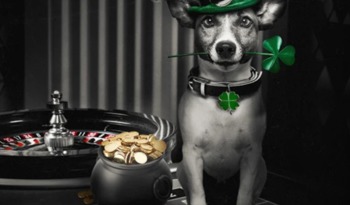 Wygraj 10 000 PLN w gotówce w Betsafe