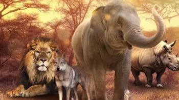 Spełnij swoje marzenie z Casino Euro: zdobądź bilet do Las Vegas